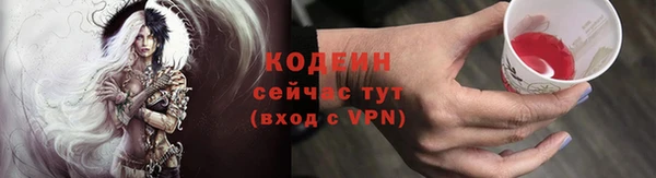 шишки Краснотурьинск